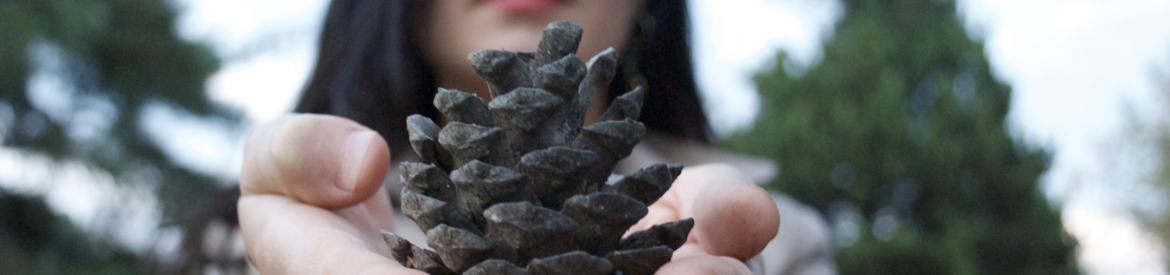 Screenshot 2018-12-21 at 17.49.26