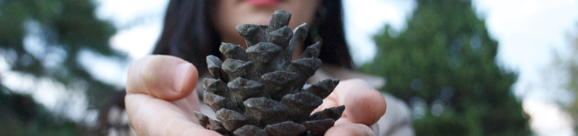 photo-1447056655859-5696b36c5073